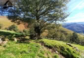 Xalet independent amb terreny en venda a la España, Vega de Pas, ref.: TR398565 foto