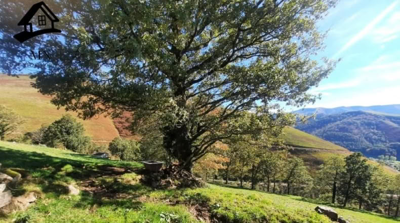 Cantàbria - Vega de Pas - 5914m2