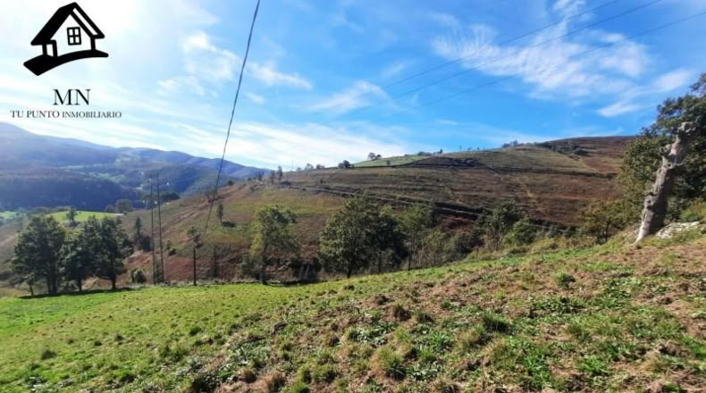Cantàbria - Vega de Pas - 5914m2