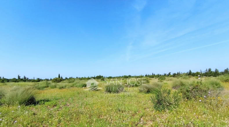 Alicante - Elx - 9840m2
