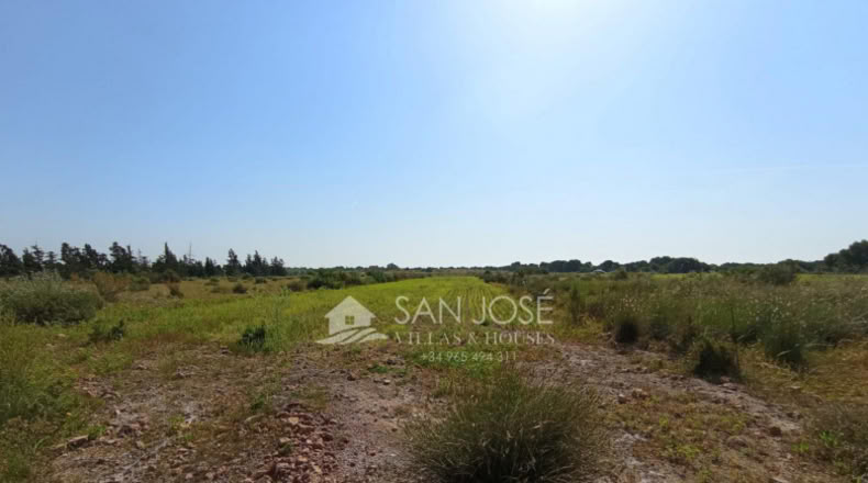 Alicante - Elx - 9840m2