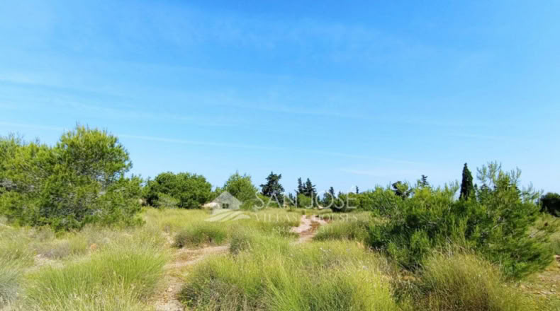 Alicante - Elx - 9840m2