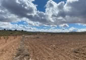 Non-developable land for sale on España, Oria, ref: TR396770 photo