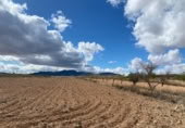 Non-developable land for sale on España, Oria, ref: TR396770 photo