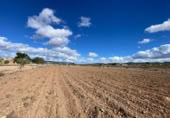 Non-developable land for sale on España, Oria, ref: TR396770 photo