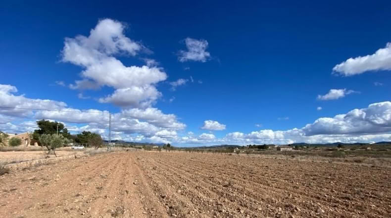 Alicante - Pinoso - 10014m2