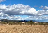Non-developable land for sale on España, Oria, ref: TR396770 photo