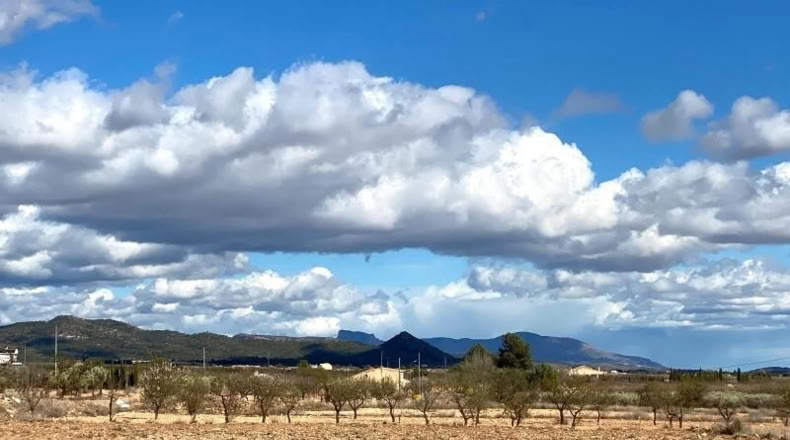 Alicante - Pinoso - 10014m2