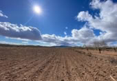 Non-developable land for sale on España, Oria, ref: TR396770 photo