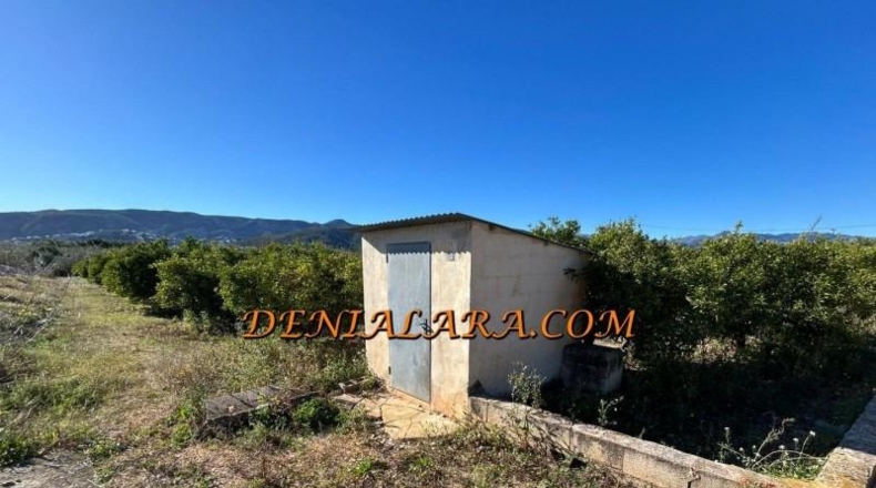 Alicante - Ondara - 2654m2