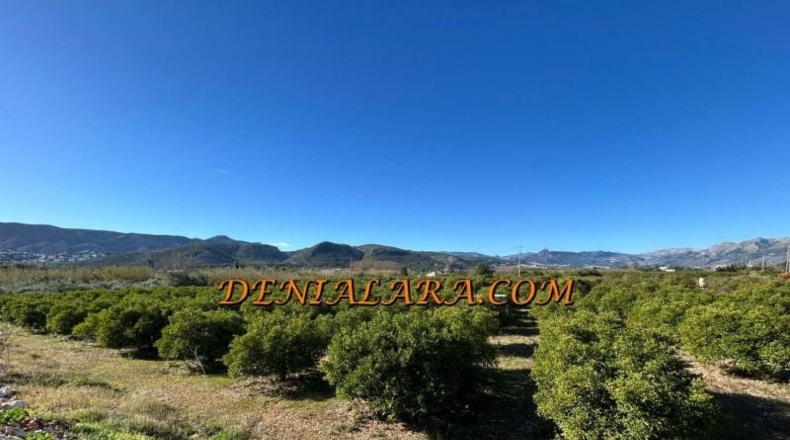 Alicante - Ondara - 2654m2