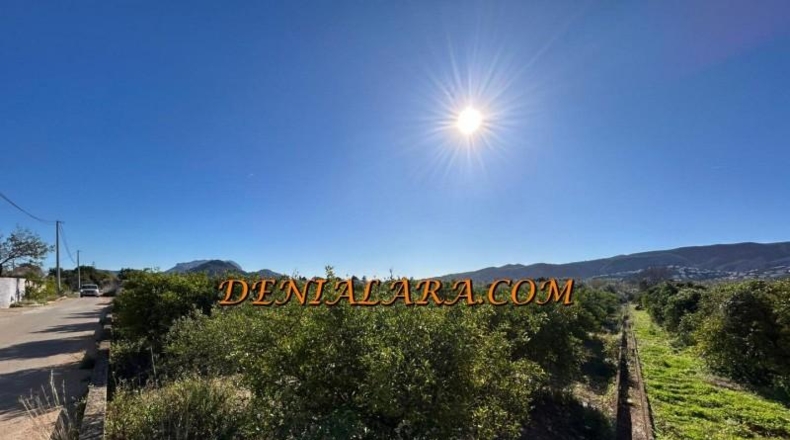Alicante - Ondara - 2654m2