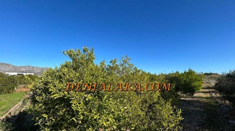 Alicante - Ondara - 2654m2