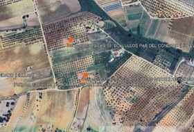 Almonte 33362&nbsp;m²