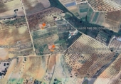 Non-developable land for sale on España, Almonte, ref: TR399814 photo