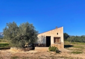 Casa de camp amb terreny en venda a la España, Aldover, ref.: TR399278 foto