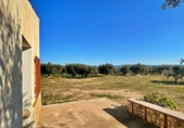Casa de camp amb terreny en venda a la España, Aldover, ref.: TR399278 foto
