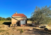 Casa de camp amb terreny en venda a la España, Aldover, ref.: TR399278 foto