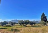 Casa de camp amb terreny en venda a la España, Aldover, ref.: TR399278 foto