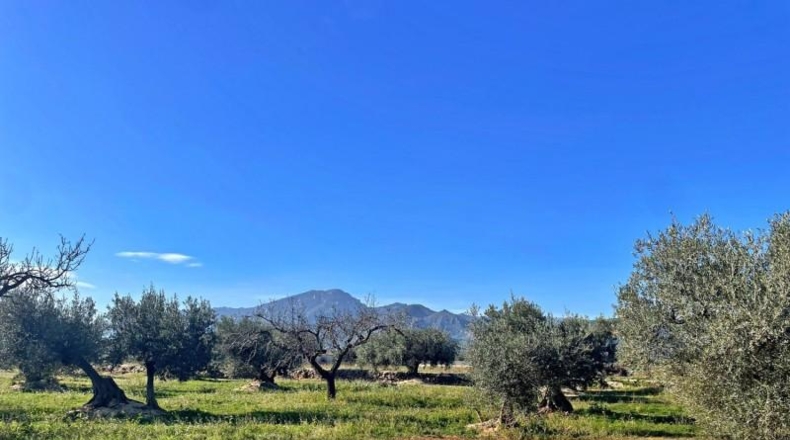 Tarragona - Aldover - 60m2
