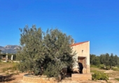 Casa de camp amb terreny en venda a la España, Aldover, ref.: TR399278 foto