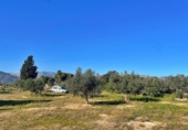 Casa de camp amb terreny en venda a la España, Aldover, ref.: TR399278 foto
