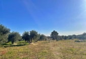 Casa de camp amb terreny en venda a la España, Aldover, ref.: TR399278 foto