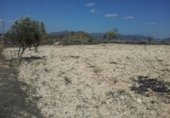 Non-developable land for sale on España, Alcantarilla, ref: TR397808 photo