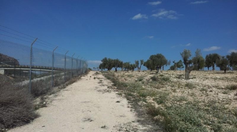 Murcia - Alcantarilla - 9800m2