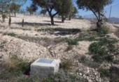 Non-developable land for sale on España, Alcantarilla, ref: TR397808 photo