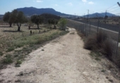 Non-developable land for sale on España, Alcantarilla, ref: TR397808 photo