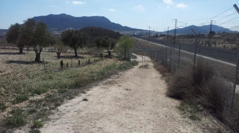 Murcia - Alcantarilla - 9800m2