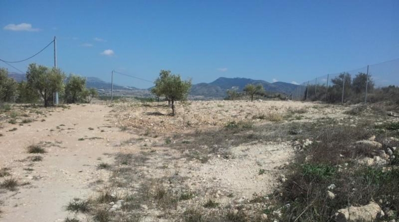 Murcia - Alcantarilla - 9800m2