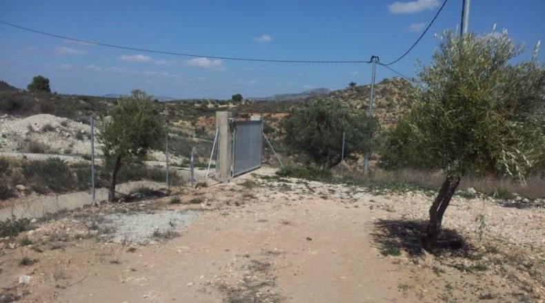 Murcia - Alcantarilla - 9800m2