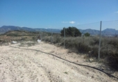 Non-developable land for sale on España, Alcantarilla, ref: TR397808 photo