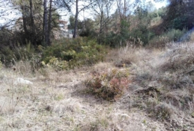 Rocafort 826&nbsp;m² 