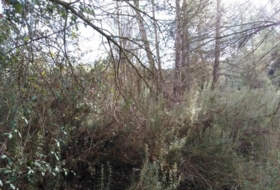 Rocafort 826&nbsp;m² 