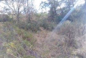 Rocafort 826&nbsp;m² 