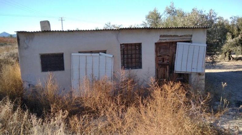 Murcia - Calasparra - 4200m2