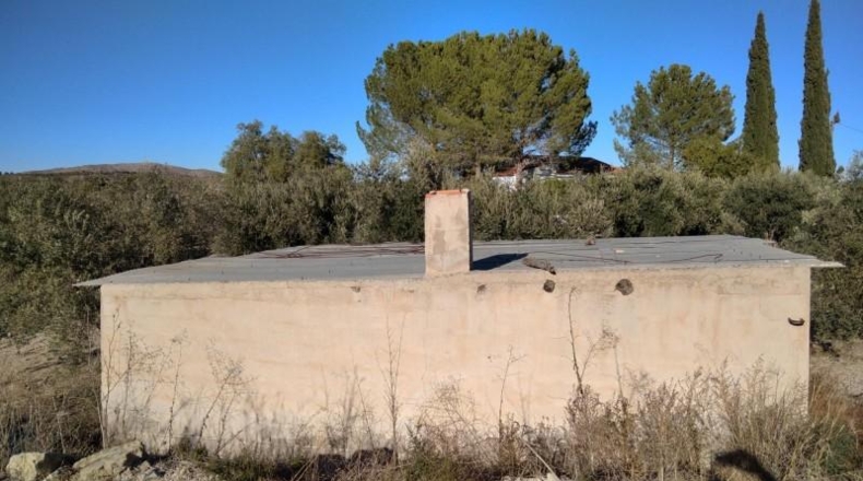 Murcia - Calasparra - 4200m2