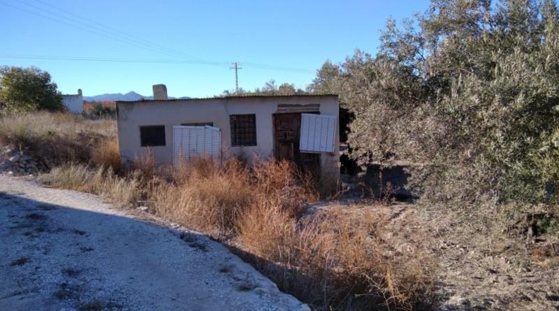 Murcia - Calasparra - 4200m2