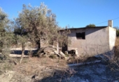 Casa amb terreny en venda a la España, Calasparra, ref.: TR398844 foto