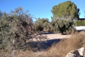 Foto 10