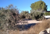Casa amb terreny en venda a la España, Calasparra, ref.: TR398844 foto
