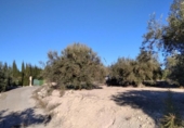 Casa amb terreny en venda a la España, Calasparra, ref.: TR398844 foto