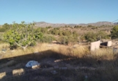 Terreny amb magatzem en venda a la España, el Fondó de les Neus, ref.: TR398656 foto