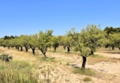 Xalet independent amb terreny en venda a la España, Fontdespatla, ref.: TR398335 foto