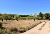 Xalet independent amb terreny en venda a la España, Fontdespatla, ref.: TR398335 foto