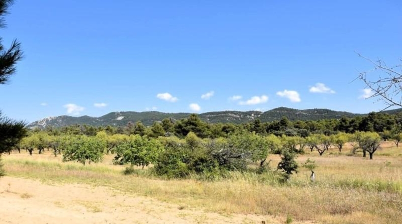 Teruel - Fuentespalda - 228298m2