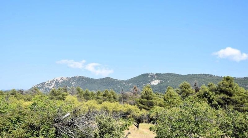 Teruel - Fuentespalda - 228298m2
